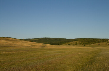 A grassy field with a hill in the background
