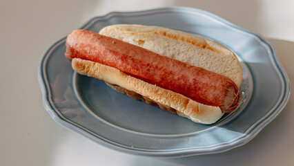 Plain Hot Dog in a Bun on a Blue Plate