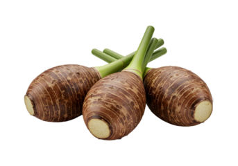 Taro tuber PNG