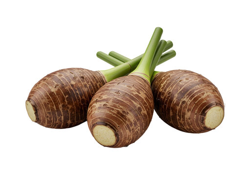Taro tuber PNG