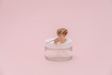 Cosmetics bottle and snail on it with pink background. Mockup for brand. Skin care, spa, luxury cosmetic, natural beauty product