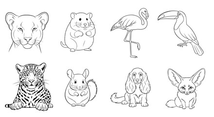 Outlines of various animals including a lion, hamster, flamingo, toucan, jaguar, chinchilla, hound, and fox