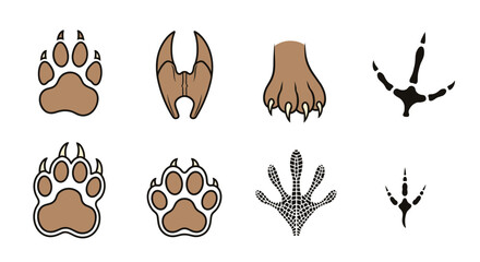 Illustration showcasing a variety of animal paw prints and footprints in a detailed arrangement format