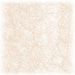 Vintage Paper Sheet. Aged Old Paper Texture Isolated on White.eps10
