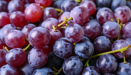 Close-up of fresh red and purple grapes