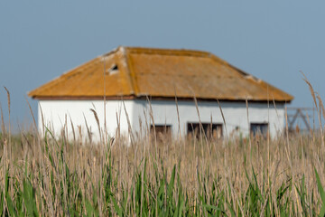 Abandoned house behind reeds with blurred background, Dzharylhach Island, Ukraine