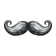 Vintage detailed black mustache with curled ends design on white background. Vector illustration