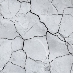 Dry cracked earth