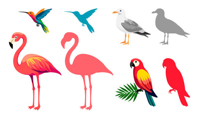 Colorful vector illustration of various tropical and coastal birds including a flamingo, parrot, hummingbird, and seagull. Each bird is shown in both detailed and silhouette styles.