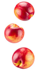 Three whole ripe nectarines falling against a transparent background, ideal for healthy eating and fruit based projects