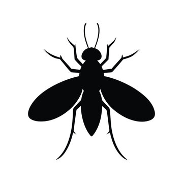 Sandfly insect silhouette with delicate wings vector illustration.