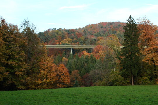 Transport line from quarry running through a forest in the autumn, Villigen, Aargau, Schwitzerland