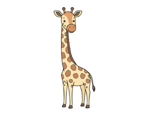 Obraz premium giraffe isolated on white