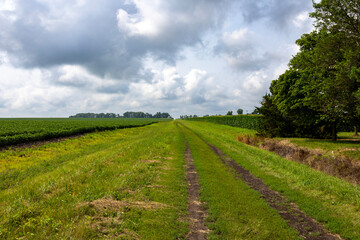 Fototapeta premium rural landscape with road