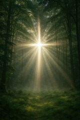 Obraz premium Sunbeam cross appearing naturally in forest clearing through tree canopy