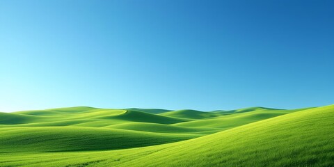 Obraz premium Orange Butterfly on Twig at Sunset