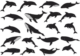 Collection of Whales Dolphins and Porpoises Aquatic Mammals Ocean Life Wildlife Silhouette Art