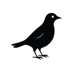 Obraz premium a lark bird full black silhouette vector illustration on white background