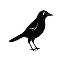Obraz premium an oriole full black silhouette vector illustration on white background