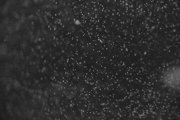 Macro shot of tiny particles in the water