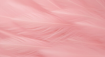 Fototapeta premium Close-up of delicate feathers overlapping with soft pink and white tones, abstract pattern