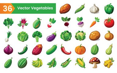 Collection of thirty six colorful vector illustrations of fresh healthy vegetables and produce