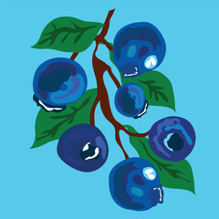 blueberries hanging from branch with leaves illustration. Blueberries branch hand painted vector illustration. Blue berries clipart. 
