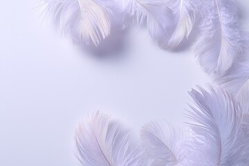 Obraz premium Elegant White Feathers Against Light Purple Background