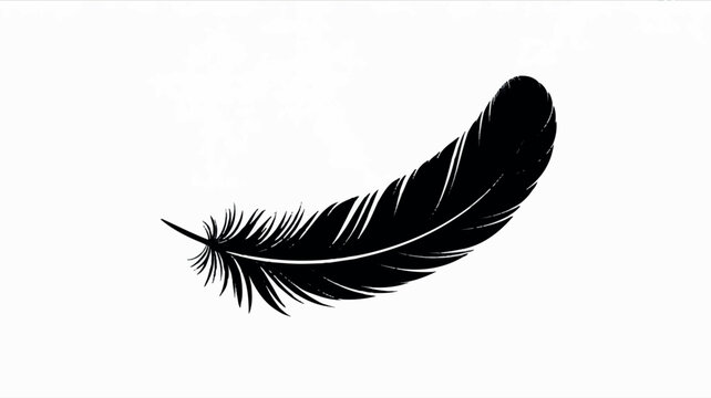 Fototapeta Minimalist black and white single eagle feather illustration with clean lines