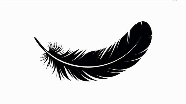 Minimalist black and white illustration of a single eagle feather
