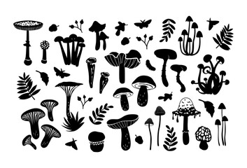 A big collection of dark silhouettes of various mushrooms isolated on a white background. Great for icons, culinary website design, menus, books, autumn projects, educational materials
