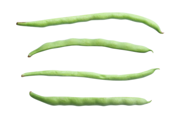 Set of Bush snap beans isolated on transparent background