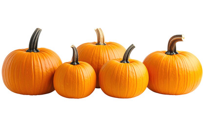 Group of pumpkins of varying sizes isolated on a transparent background.