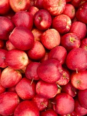 red apples background