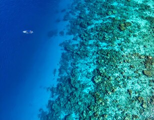 Fototapeta premium Aerial view of a boat on vibrant blue ocean water next to a shallow, colorful coral reef. Tropical paradise scene showcasing diverse marine ecosystem.