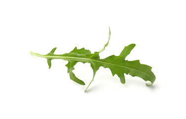 Fresh ripe green arugula leaf isolated on white