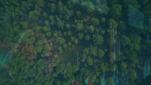 Opening multicolored overlays sliding on forest canopy revealing aerial view for data visualization