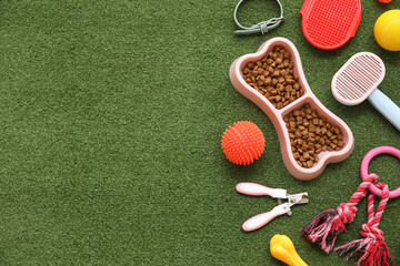 Food bowl in shape of bone and different pet accessories on green grass background