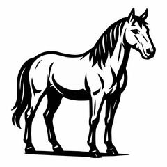 Obraz premium horse vector illustration