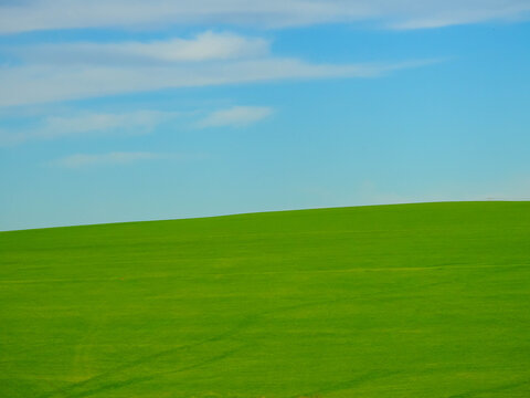 Campo verde sob c&eacute;u azul limpo &mdash; paisagem natural minimalista