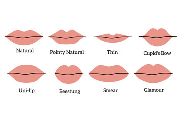 Set of a lips. vector illustration of a lips. various lip shapes.
