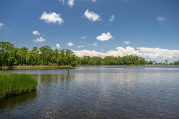 eden state park, florida