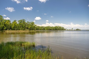eden state park, Florida