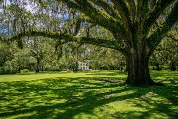 eden state park, Florida