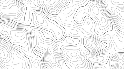 Topography line map featuring abstract terrain contours and smooth elevation grid in white vector style for wilderness prints and nature-themed graphics