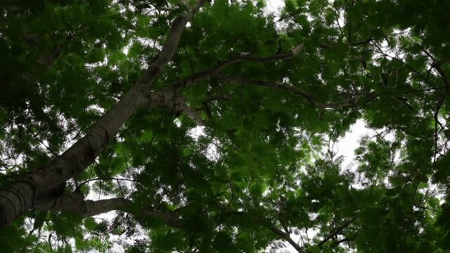 DeeringCoralGables_Sony23_1