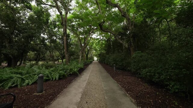 DeeringCoralGables_Sony23_3