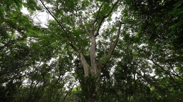 DeeringCoralGables_Sony23_6