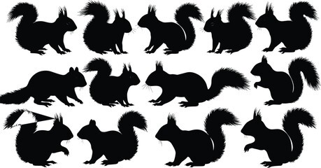 Squirrel silhouette vector set, black animal shapes collection, perfect for wildlife cad drawing, graphic design, and creative illustration use
