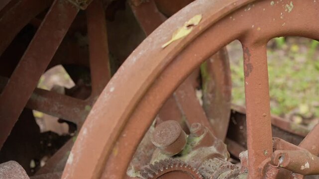 DeeringCoralGables_Sony23_10